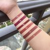 evpct 6 Pcs Lip Liner and Lipstick Set Kit DNM Chestnut Nude Dark Red Matte Matt Mat 24 Hour Lipstick Pen and Lip Kit with Lip Liner Pencil Long Lasting Set for Women labiales mate 24 horas originales