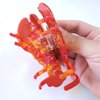 Lobster Claw Clip,Acetate Hair Clips,Small Claw Clips for Women