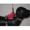 XSmall Zebra Print Pink 4" Floral Dog Harness : Neck 8-12" Girth 8-14"
