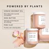 HERBIVORE Coco Rose Exfoliating Body Scrub – Cleansing Detox with Pink Clay, Moisturizing Coconut Oil & Shea Butter, Plant-based, Vegan, Cruelty-Free, 8 oz