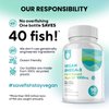 DR. MORITZ Vegan Omega 3 DHA & EPA Supplement - Algae Omega-3 Fatty Acids 1000mg - Fish Oil Alternative for Heart, Brain, Joint, and Immune System Support (90 Count (Pack of 1))