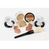 6PC Makeup Kit with Brush (Light Tan), All-Natural Loose Powder, Includes Lightweight Matte Foundation, Blush, Radiant Bronzer, Translucent Primer & Finishing Powder