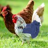 Yinuoday 3PCS Chicken Saddles Hen Apron with Elastic Strap Poultry Protector Hen Care Supplies, Birds Protector for Back and Sides