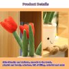 XZJMY 1Pack Succulents Plush Toy,Potted Plant Stuffed Plush Pillow Decoration,Cute Plants Plush Toy, Plush Toy Gift for Kids Girls (Red,Tulip)