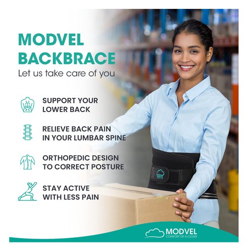 Modvel Back Braces for Lower Back Pain Relief with 6 Stays, Breathable Back Support Belt for Men/Women for work, Anti-skid lumbar support belt with 16-hole Mesh for sciatica (Plus-Size)