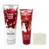 Bath & Body Works Winter Candy Apple - Duo Gift Set - Moisturizing Body Wash and Body Cream with a Natural Oats Sample Soap.