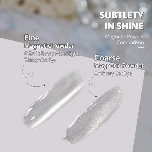 GAOY Glassy Cat Eye Gel Nail Polish, 16ml Glitter Holographic Gel Polish with Magnet, Reflective Translucent UV Gel, 2341 Silvery Moonlight