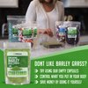 XPRS Nutra Organic Barley Grass Powder - 4 Ounce Premium Barley Powder Rich in Antioxidants, Amino Acids and Protein - Barley Green Superfood for Immunity