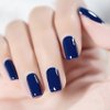 Vishine Gel Nail Polish 15ml, Navy Blue Color Soak Off UV LED Long-Lasting Nail Gel Polish Nail Art Home DIY Manicure Nail Salon Varnish #913