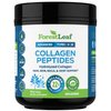 Collagen Peptides Powder Unflavored - Hydrolyzed Collagen Protein Powder Type 1, 2 & 3 - Grass Fed Keto Collagen Powder for Women & Men - Vital Hair, Skin, Nails, Joints, Recovery, 11g Per Serving