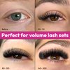 Eyesy Lash 500 Promade Fans | 8D 0.05 Size 10mm Curl D | Eyesy Eyelash Extension Premade Lashes Mega Volume Lash Extensions Pro Made Fans Eyelash Extensions Pestanas Pelo A Pelo False Eyelashes