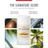 St Johns Bay Rum Aluminum Free Deodorant | Long-Lasting, Odor Resistant, & Soothing | Clear Deodorant Stick | Odor-Free Deodorant Made of Natural Compounds | Mens Bay Rum Deodorant (2.6 oz Stick)