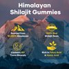 Pure Himalayan Shilajit Gummies Gold, Lab Tested, with Ashwagandha, Gokshura | Fulvic Acid & 85+ Trace Minerals, for Energy Boost & Immune Support