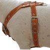 Genuine Leather Dog Harness, Medium. 25.5"-29" Chest size, 1" Wide, Amstaff, Pitbull