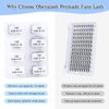 Obeyalash 600 Fans Premade Lash Extensions Fans Premade Volume Fans Eyelash Extensions Pro Made Fans Lash Extensions D Curl Handmade Loose Fans for Lash Extension Supplies (14D-0.05D-D, 8-15mm)