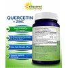 aSquared Nutrition Quercetin 1000mg with Zinc Supplement - 120 Capsules - Quercetin Dihydrate with Black Elderberry & Zinc - Max Strength Powder Complex Pills to Help Improve Immune Response