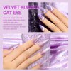 RARJSM Aurora Cat Eye Gel Nail Polish Set 6 Colors Velvet Silver Glitter Purple Pink Green Champagne Galaxy Star Cloud Ice Gel Polish with Magnet Stick UV LED Curing Requires Soak Off Home Salon
