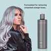 MOEHAIR Color Infuse Silver – 12 Fl. Oz | Purple Toner for Silver, Gray & White Hair | Neutralizes Unwanted Brassiness | Salon-Grade Hair Toner for Brassy Hair | Brass Off | Sulfate and Paraben-Free
