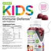 Kids Multivitamin Gummies with Probiotics - 8-1 Kids Vitamins for Immune Health Support with Vitamin C, D3, B12, B6, Zinc, Elderberry, Selenium - Vegetarian - Chewable Tasty Berry Flavored Gummy