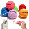 Colorful Squeaky Tennis Balls for Small Dogs and Puppies - 1.5 Inch - 6 Pack - Dog Training Toys for Positive Reinforcement, Interactive Squeaker Balls To Engage Attention Outside, Ball Launcher Fetch