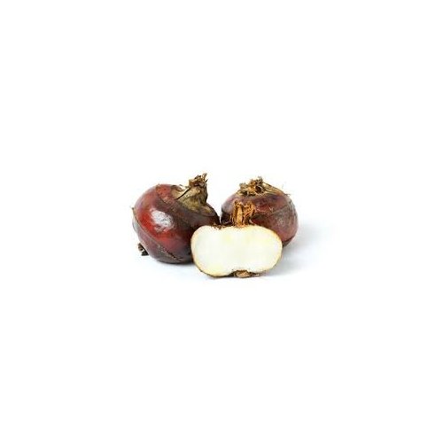 Fresh -GPS- Water Chestnuts ( 3 Lbs )