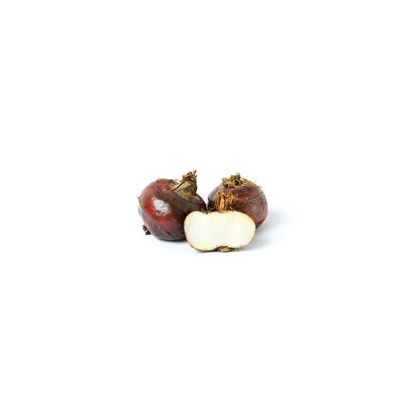 Fresh -GPS- Water Chestnuts ( 3 Lbs )