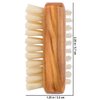 REDECKER Natural Pig Bristle Travel Nail Brush with Waxed Olive Wood Handle, 2-1/4-Inches - Boar Bristle Nail Brush For Cleaning Fingernails - German Wooden Nail Brush