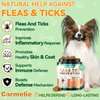Carmelie Flea and Tick Prevention for Dogs - 200 Soft Chewables Natural Dog Flea and Tick Support - Oral Flea Supplement for All Breeds & Size Dogs, Puppy Flea Protection - Duck Flavor