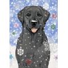 Pipsqueak Black Labrador Christmas Cards : 10 Holiday Cards Red Envelopes - Adorable!