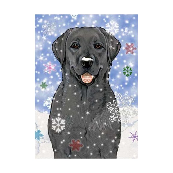 Pipsqueak Black Labrador Christmas Cards : 10 Holiday Cards Red Envelopes - Adorable!