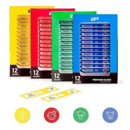 AmScope - 48pc Kids Plastic Prepared Microscope Slides of Animals, Insects, Plants, Flowers, Sample Specimens for Student Microscopes - PS-4P12X1-A