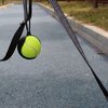 Dog Toy Ball Holder - Leash Attachment, Hands-Free, Pet Toys, Silicone, Lightweight, for All Breeds and Sizes, Fits Standard Tennis Balls - Tennis Ball NOT Included (Black)