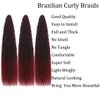 Brazilian Curly Braids Crochet Twist Hair 30inches 3Packs Afro Kinky Curly Braiding Hair Extensions Deep Curly Crochet Hair Synthetic Water Wave Braid Hair(30Inch,Bug)