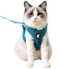 Heywean Cat Harness and Leash - Ultra Light Escape Proof Kitten Collar Cat Walking Jacket with Running Cushioning Soft and Comfortable Suitable for Puppies Rabbits (M, Turquoise)