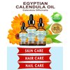 Botanical Beauty CALENDULA OIL Egyptian Calendula Officinalis Marigold Oil Pure Natural for FACE, SKIN, BODY, HAIR, NAILS 2 Fl.oz.- 60 ml Skin Moisturizer Oil