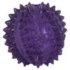 JW Pet BRISTLY Cactus Ball Dog Toy, Purple