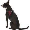 Copatchy Dog Harness Small Sized Dog - All Weather Mesh overhead adjustable no pull Vest Puppy reflective Harness with handle for Small and Medium Dogs by Copatchy - Harness (Red) Small