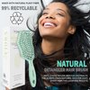 Fiora Naturals Hair Detangling Brush -100% Bio-Friendly Detangler Hair Brush w/Ultra-soft Bristles- Glide Through Tangles with Ease - For Curly, Fine, Women, Men, Kids, Toddlers, Wet and Dry Hair