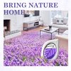 Air Freshener for Home, 4 Pack, Lavender, Odor Eliminator for Small Area Closets Bathroom Pets Strong Odor, Up to 120 Days
