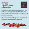 Reflux Gourmet Berry Soothe Gum Alginate Therapy Sodium Bicarbonate Gum for Acid Reflux, Oral, Cognitive, and Digestive Support, Natural with Ginger, Celeriac and Aloe, Sugar Free, Gluten Free, Vegan