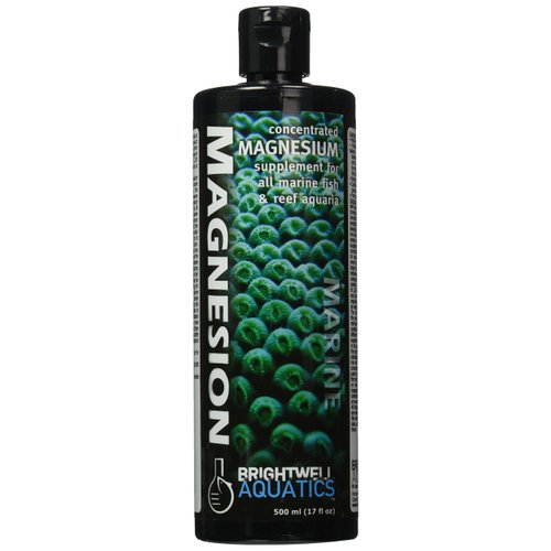 Brightwell Aquatics Magnesion Liquid Salt Water Conditioner - Concentrated Magnesium Supplement For Reef and Marine Aquariums, 16.9 fl oz