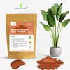 Cosmic Element Moroccan Red Clay Powder - Red Clay Powder for Skin | Suitable for Face, Body Wraps & Hair Care | Clay Mask for Face | Red Clay Masks, Wraps, Scrubs, Soaps, Bath Bombs & Detox – 4 oz