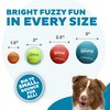 Outward Hound Squeaker Ballz Fetch Dog Toy, Small- 4 Pack
