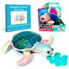 Seawhee The Turtle Adventure Learning Set: Stuffed Animals for Teaching and Reinforcing Positive Character Traits to Kids