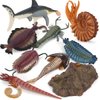 9 PCS Ancient Creatures Animal Action Figures Model Nautilus Cephalaspis Party Favors Supplies Cake Toppers Set Desktop Decoration Toys for 5 6 7 8 Years Old Boys Girls Kid Toddlers