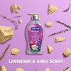 Softsoap Deeply Moisturizing Liquid Hand Soap, Shea Butter, Lavender, 11.25 Fl Oz