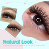 VAVALASH Brown W-shaped Eyelash Extension Brown 3D Premade Fans 0.07 C Curl Volume Lash Extensions Easy Fanning Lashes Matte Brown YY Lashes W Lashes(Brown-W-3D-0.07-C-8-15mm）