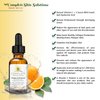 Natural Vitamin C E Serum with Ferulic and Hyaluronic Acid 1 oz