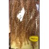 RastAfri Malibu Afro Kinky Braid 18" HM27/613