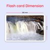 hungry brain Flash Cards for Toddlers, 24 Nature in Motion Flashcards, Double-Sided, Montessori, Educational, Kindergarten - Preschool Learning Activities, Gifts for Kids, 1, 2, 3, 4 Years Babies